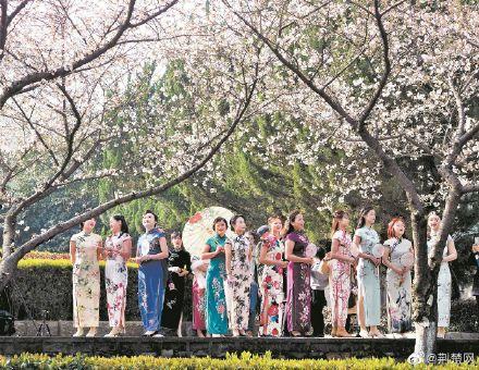 两山医院女建设者穿旗袍游武大